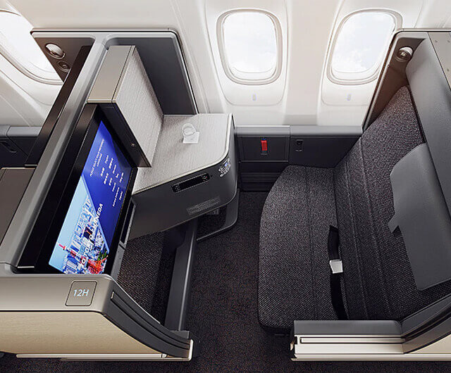 The room - bussiness class - All Nippon Airways